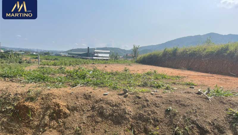 Bán lô đất tại hẻm Đinh Công Tráng - Lộc Châu