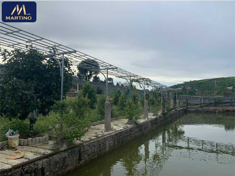 Bán lô đất sào xây nhà vườn ao cá tại Dambri - Bảo Lộc
