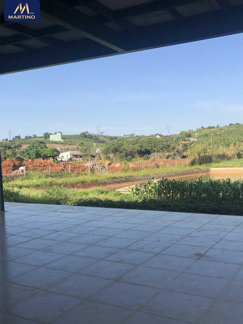 Bán nhà đất biệt thự 3 sào tại hẻm Nguyễn Viết Xuân