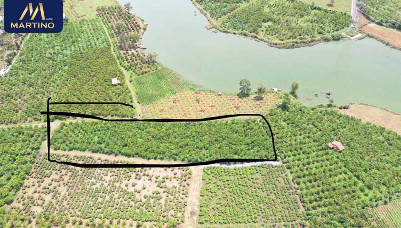 Bán đất nghỉ dưỡng view hồ Mai Thành - Bảo Lộc