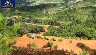 Bán lô đất sào giá rẻ tại Đại Lào - Bảo Lộc - Lâm Đồng