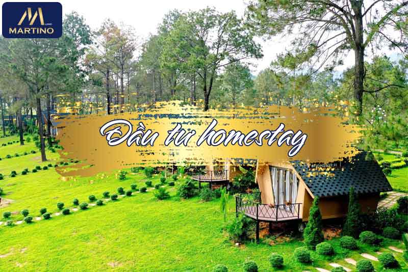 Có nên đầu tư homestay?