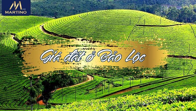 giá đất ở bảo lộc